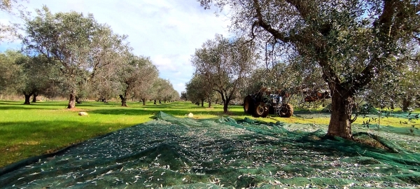 Reflecting and (almost) harvesting